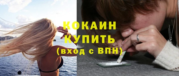 дживик Алзамай