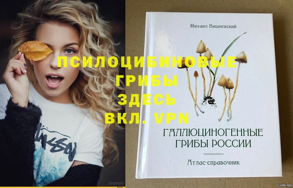 соль курить ск Алексин