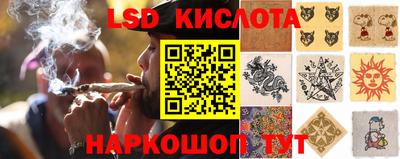 сатива Кунгур