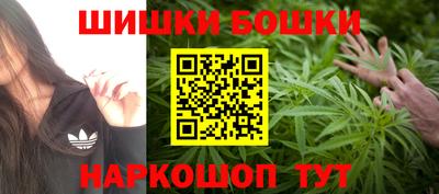 сатива Кунгур