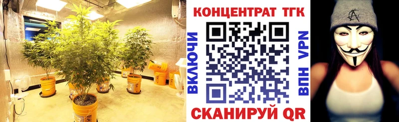 ТГК жижа  ссылка на мегу ТОР  дарк нет состав  Елизово 