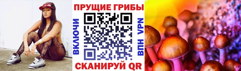 Галлюциногенные грибы Cubensis  Елизово 