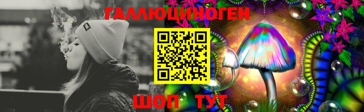 где найти   Псилоцибиновые грибы Psilocybe  Вход с VPN  Елизово  Галлюциногенные грибы GOLDEN TEACHER 